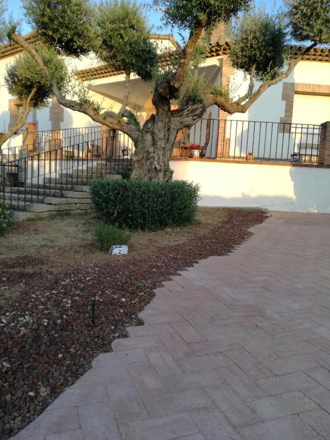 Casa Rural La Amistad Villa Burguillos de Toledo Eksteriør billede