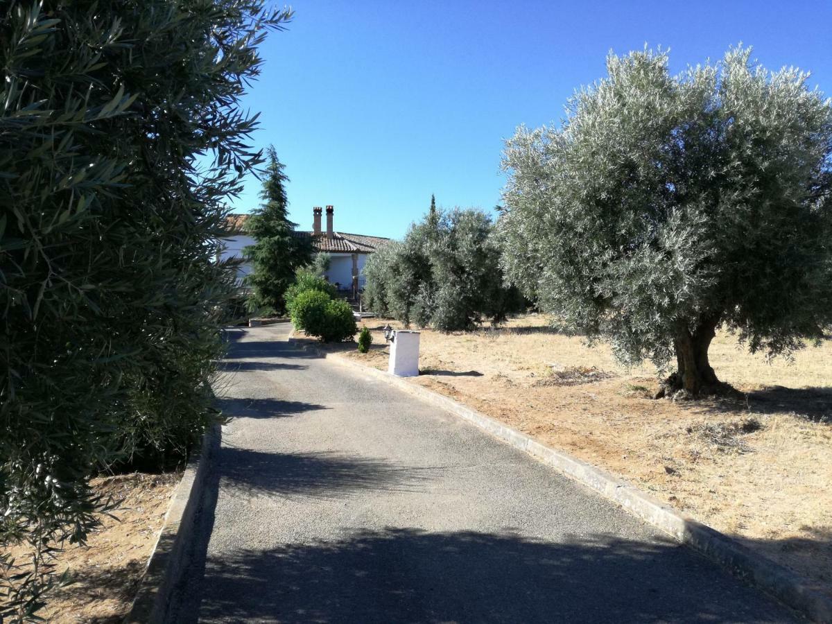 Casa Rural La Amistad Villa Burguillos de Toledo Eksteriør billede