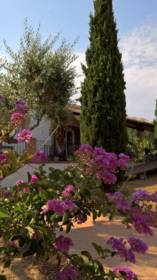 Casa Rural La Amistad Villa Burguillos de Toledo Eksteriør billede