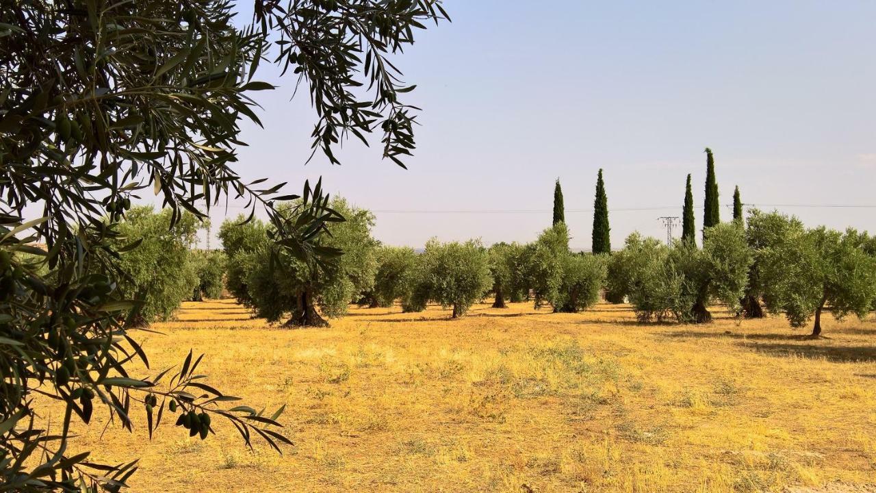 Casa Rural La Amistad Villa Burguillos de Toledo Eksteriør billede